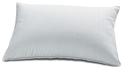 Kentia Dream Microfiber Ανατομικό Μέτριο 000024031 50x70cm