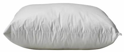 Vesta Home Anatomic Σιλικόνης Ανατομικό Σκληρό 000001374 50x70cm