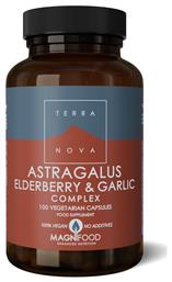 TerraNova Astragalus Elderberry & Garlic Συμπλήρωμα για την Ενίσχυση του Ανοσοποιητικού 100 φυτικές κάψουλες