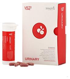 Lactotune Urinary 30 κάψουλες