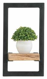 Ράφι Τοίχου Lizard Frame 20x25x35εκ.