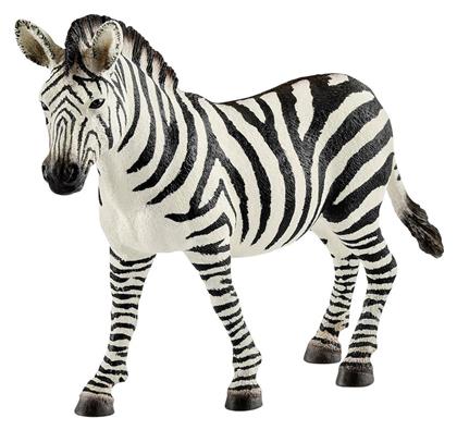 Schleich-S Παιχνίδι Μινιατούρα Wild Life Zebra Mare για 3+ Ετών 8.5εκ.