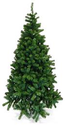 Χριστουγεννιάτικο Δέντρο Νορμανδία