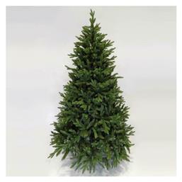 Χριστουγεννιάτικο Δέντρο Νορβηγίας