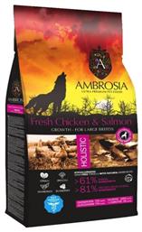 Ambrosia Fresh Chicken & Salmon Growth Large Breeds 12kg