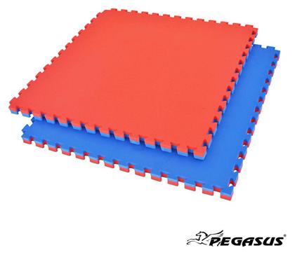 Pegasus Β-4100-20 Δάπεδο Παζλ Γυμναστηρίου Διπλής Όψης Κόκκινο/Μπλε 100x100x2cm 1τμχ