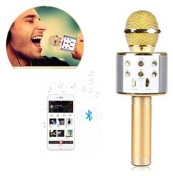 WSTER Μικρόφωνο Karaoke Ασύρματο WS-858
