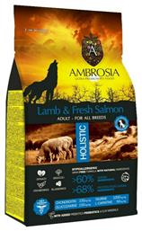 Ambrosia Lamb & Fresh Salmon Adult All Breeds 2kg