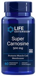 Life Extension Super Carnosine 500mg 60 φυτικές κάψουλες