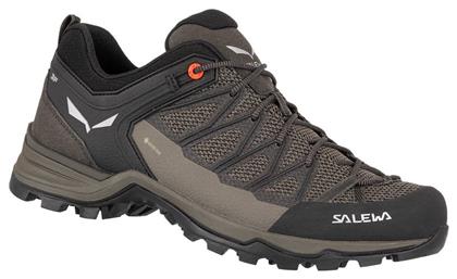 Salewa MTN Trainer GTX Ανδρικά Ορειβατικά