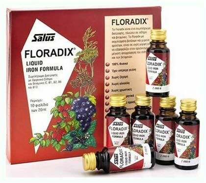 Salus Haus Floradix Liquid Iron Formula 200ml