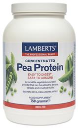 Lamberts Concentrated Pea Protein Χωρίς Γλουτένη & Λακτόζη 750gr