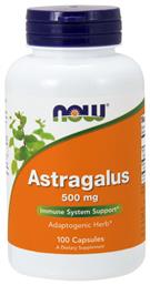 Now Foods Astragalus 500mg 100 κάψουλες