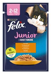 Purina Felix Junior Le Ghiottonerie 85gr