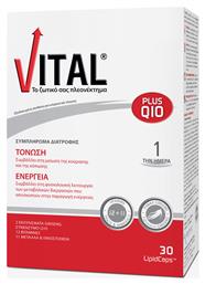 Vital Plus Q10 Πολυβιταμίνη 10mg 30 μαλακές κάψουλες