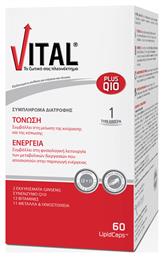 Vital Plus Q10 Πολυβιταμίνη 10mg 60 μαλακές κάψουλες