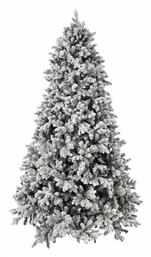 Χιονισμένο Δέντρο Sugan Pine