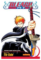 Bleach Vol. 1