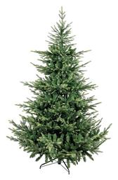 Χριστουγεννιάτικο Δέντρο Torondo