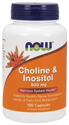 Now Foods Choline & Inositol 500mg 100 κάψουλες