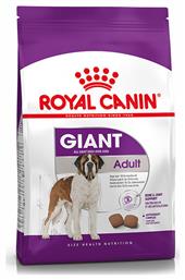 Royal Canin Giant Adult
