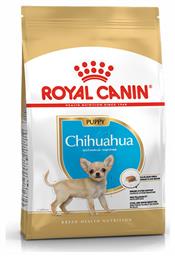 Royal Canin Puppy Chihuahua