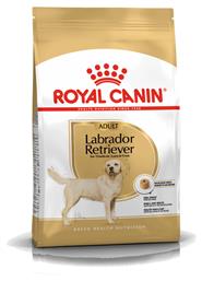 Royal Canin Adult Labrador Retriever