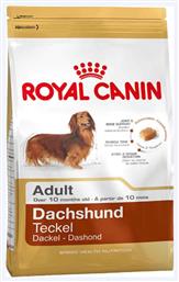 Royal Canin Adult Dachshund Teckel