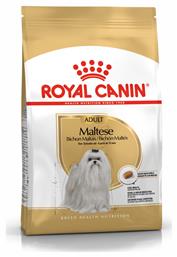 Royal Canin Adult Maltese