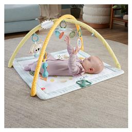 Fisher Price Γυμναστήριο Δραστηριοτήτων Πολύχρωμο για Νεογέννητα (MxΠ) 57x41cm