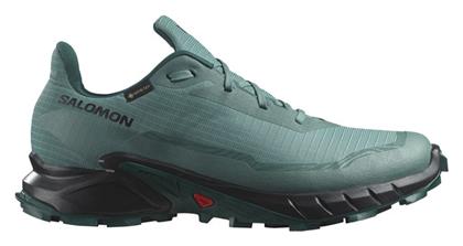 Salomon Alphacross 5 Gore-Tex Ανδρικά Trail Πετρολ