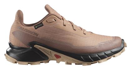 Salomon Aplhacross 5 GTX Γυναικεία Running Gore-Tex Cork / Black / Hazelnut - Σομόν
