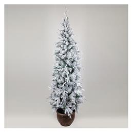 Χριστουγεννιάτικο Δέντρο Στοκχόλμη Χιονισμένο