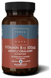 TerraNova Vitamin B12 Methylcobalamin Complex Βιταμίνη για την Υγεία του Νευρικού Συστήματος 500mcg 50 φυτικές κάψουλες