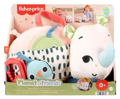 Fisher Price Βρεφικό Παιχνίδι