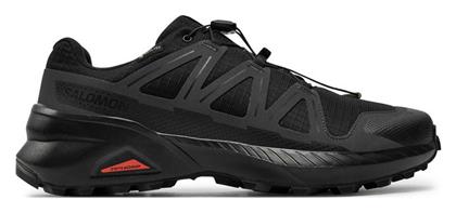 Salomon