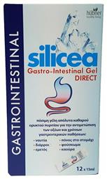 Hubner Silicea Gastro Intestinal Gel 12 x 15ml