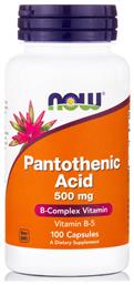Now Foods Pantothenic Acid Βιταμίνη 500mg 100 κάψουλες