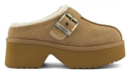 Colors Of California